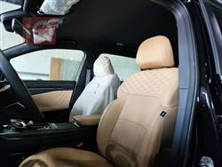 جیلی ئۆکاڤانگۆ